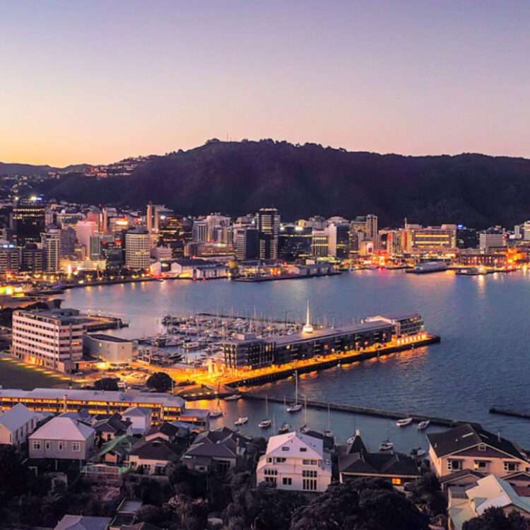 Wellington graphic design - a photo of wellington harbour