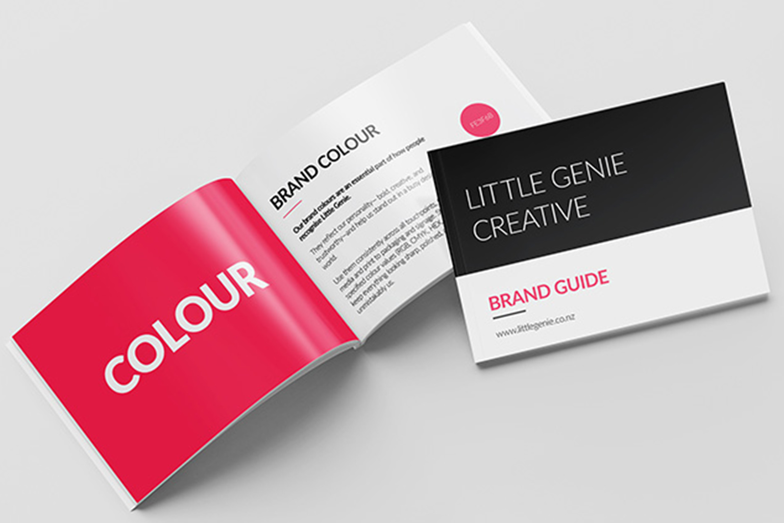 Little genie creative brand guide book